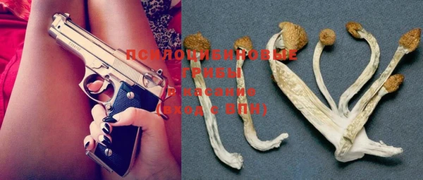 MDMA Медногорск